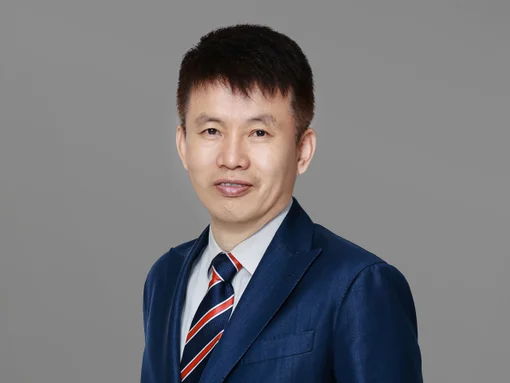 Prof. Hongbin CAI